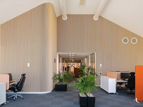 Office wall using acoustic wall panels