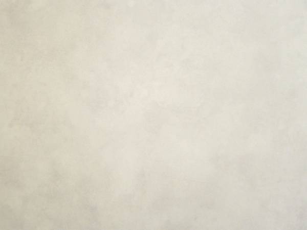 Stone look SPC flooring SS-2183