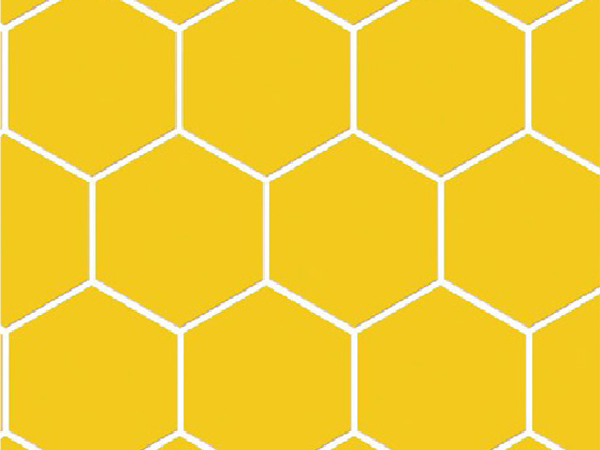 SPC wall panel WSS-005