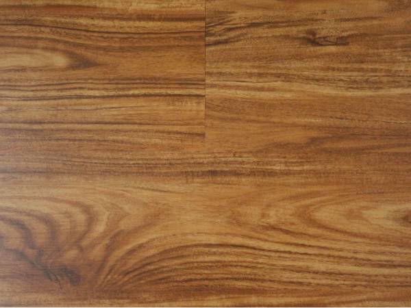 Wood look SPC flooring SW-1818