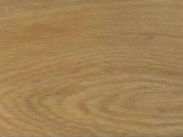 Wood look SPC flooring SW-1973