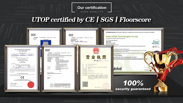 6 certificados internacionales de certificación junto con trofeos e introducción de texto